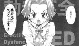 动漫ed是什么意思,揭秘音乐与情感交织的瞬间